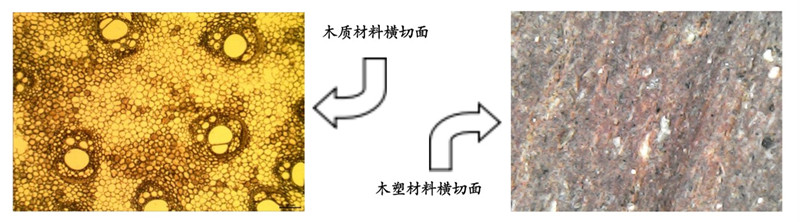 默認標題__2024-02-27+15_44_48_副本_副本.jpg